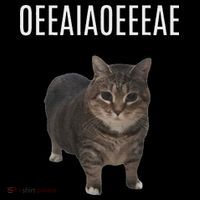 Oiiaoiia Cat Spinning Cat Meme Funny Trendy Cat Lovers Art Long Sleeve Shirt thumb 2