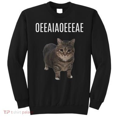 Oiiaoiia Cat Spinning Cat Meme Funny Trendy Cat Lovers Art Sweatshirt