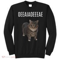 Oiiaoiia Cat Spinning Cat Meme Funny Trendy Cat Lovers Art Sweatshirt thumb 0