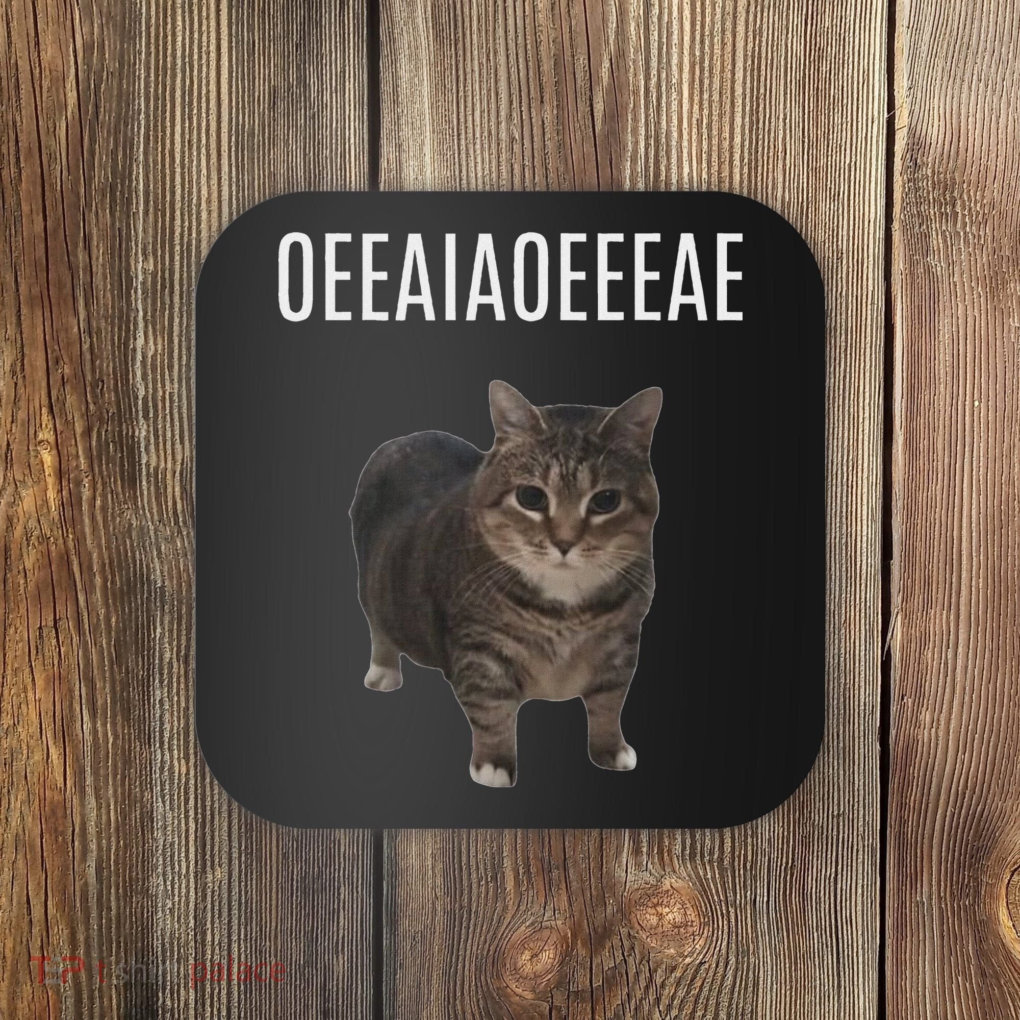 Oiiaoiia Cat Spinning Cat Meme Funny Trendy Cat Lovers Art Coaster
