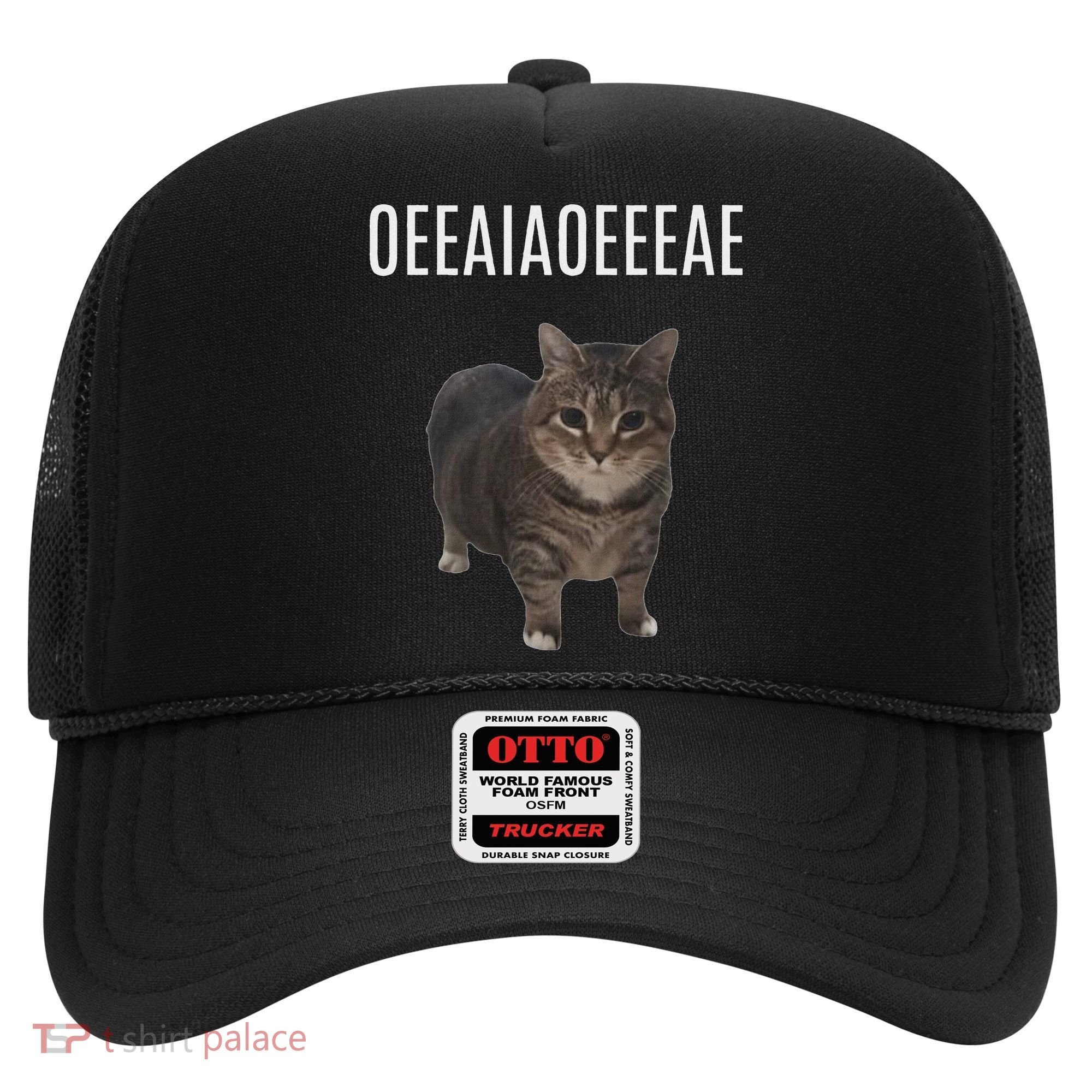Oiiaoiia Cat Spinning Cat Meme Funny Trendy Cat Lovers Art Hat