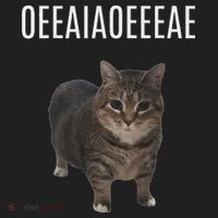 Oiiaoiia Cat Spinning Cat Meme Funny Trendy Cat Lovers Art Hat thumb 2