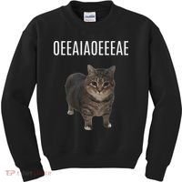 Oiiaoiia Cat Spinning Cat Meme Funny Trendy Cat Lovers Art Kids Sweatshirt thumb 0