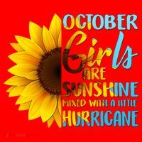 October Girls Sunflower Santa Hat thumb 1