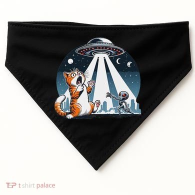 Orange Cat Ufo USA-Made Doggie Bandana