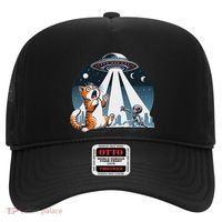 Orange Cat Ufo Hat thumb 0