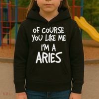 Of Course You Like Me I'm A Aries, Zodiac, Astrology Kids Hoodie thumb 3