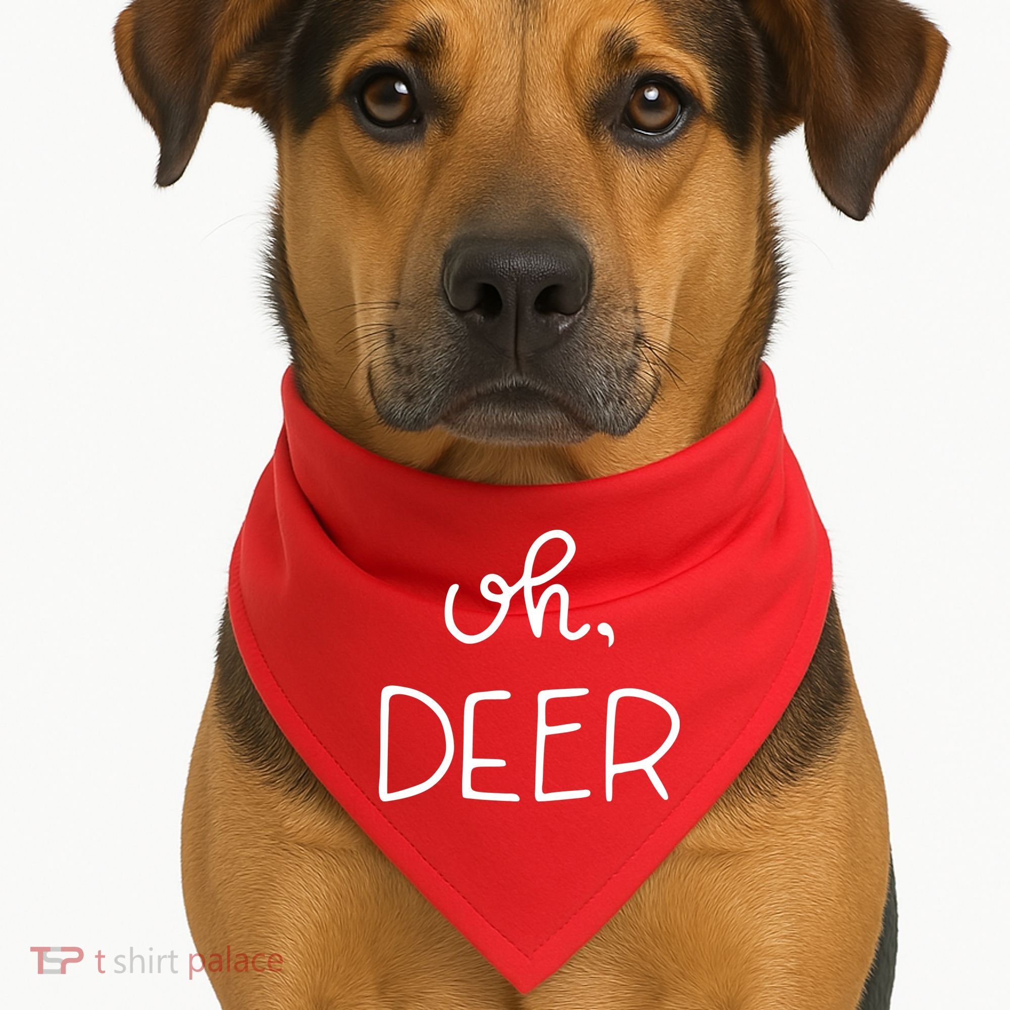 Oh Deer Christmas Cute Christmas USA-Made Doggie Bandana