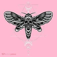 Occult Death Moth Mystic Death Moth And Sacred Geometry Coaster thumb 2