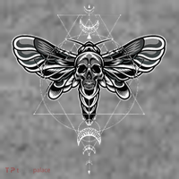 Occult Death Moth Mystic Death Moth And Sacred Geometry Toddler Hoodie thumb 2