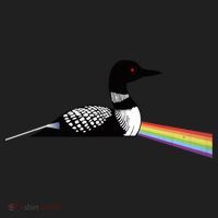 Original Dark Side Of The Loon Bird Watching Classic Rock Gift Beanie thumb 2