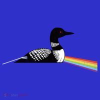 Original Dark Side Of The Loon Bird Watching Classic Rock Gift Women's Tank Top thumb 5