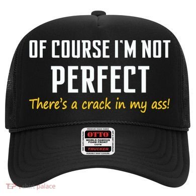 Of Course I Am Not Perfect There's A Crack in My Ass Hat
