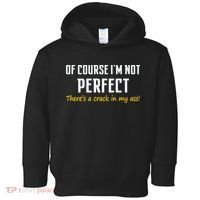 Of Course I Am Not Perfect There's A Crack in My Ass Toddler Hoodie thumb 0