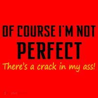 Of Course I Am Not Perfect There's A Crack in My Ass Santa Hat thumb 1