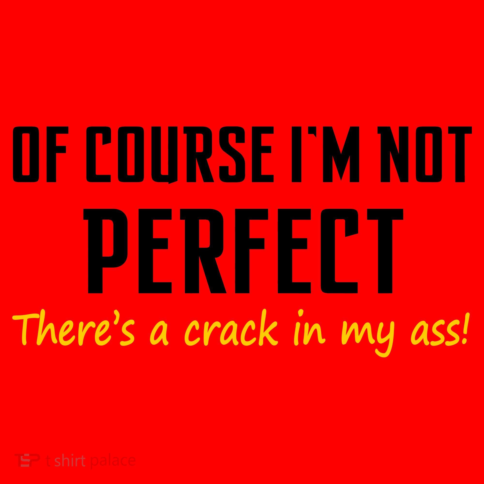 Of Course I Am Not Perfect There's A Crack in My Ass Santa Hat