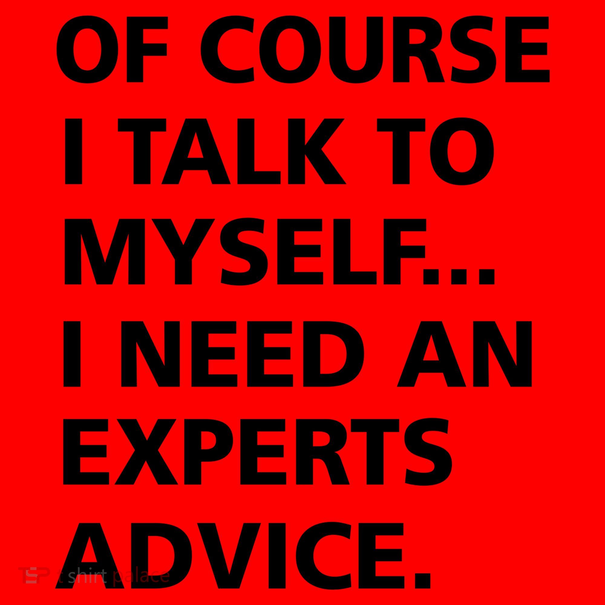 Of Course I Talk To Myself… I need an Experts Advice Santa Hat