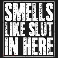 Offensive Funny Adult Humor, Smells Like Slut In Here Women's Hoodie thumb 2