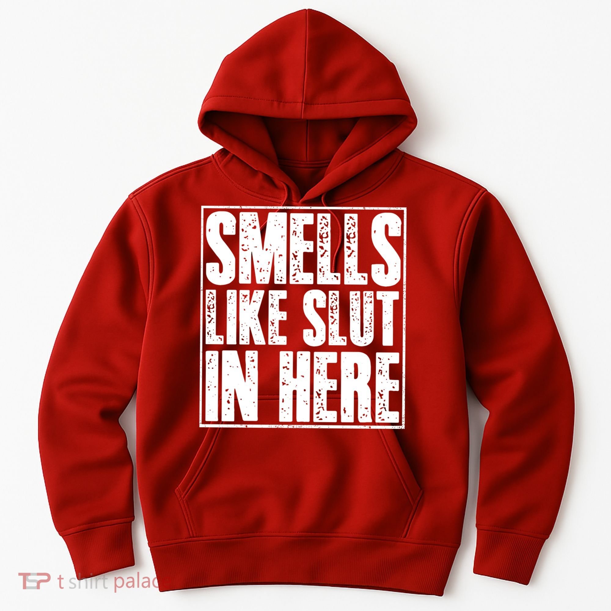 Offensive Funny Adult Humor, Smells Like Slut In Here Hoodie