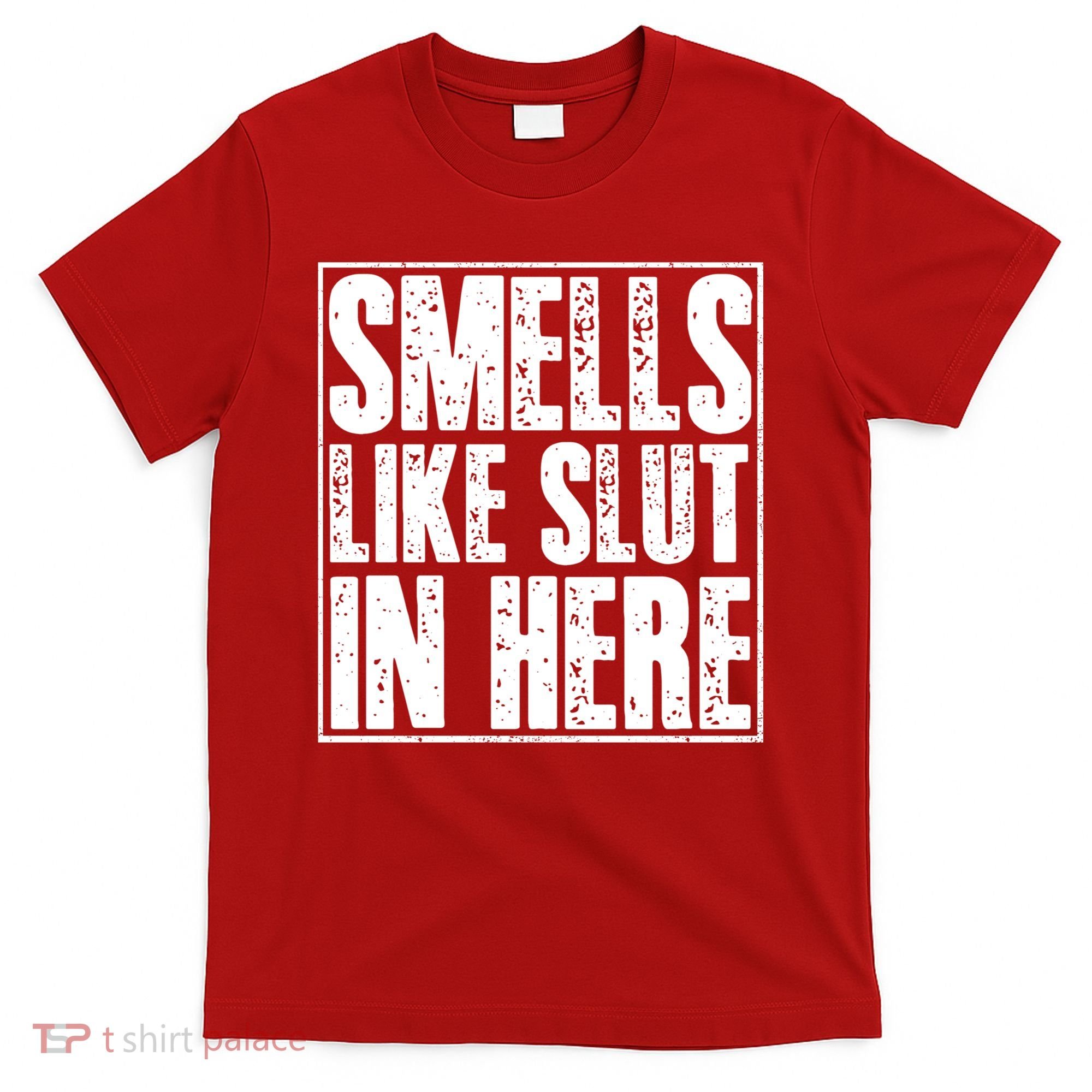 Offensive Funny Adult Humor, Smells Like Slut In Here T-Shirt
