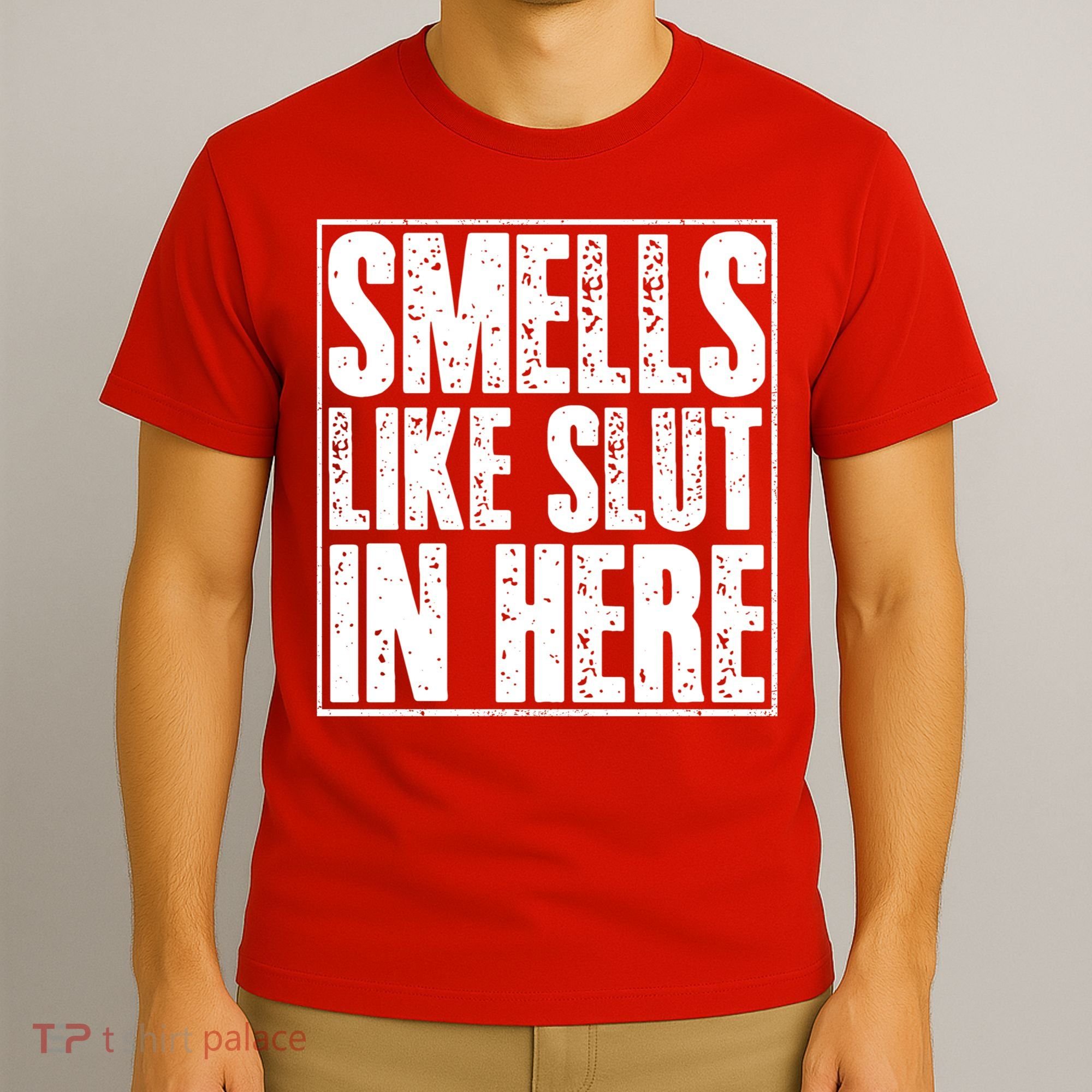 Offensive Funny Adult Humor, Smells Like Slut In Here T-Shirt