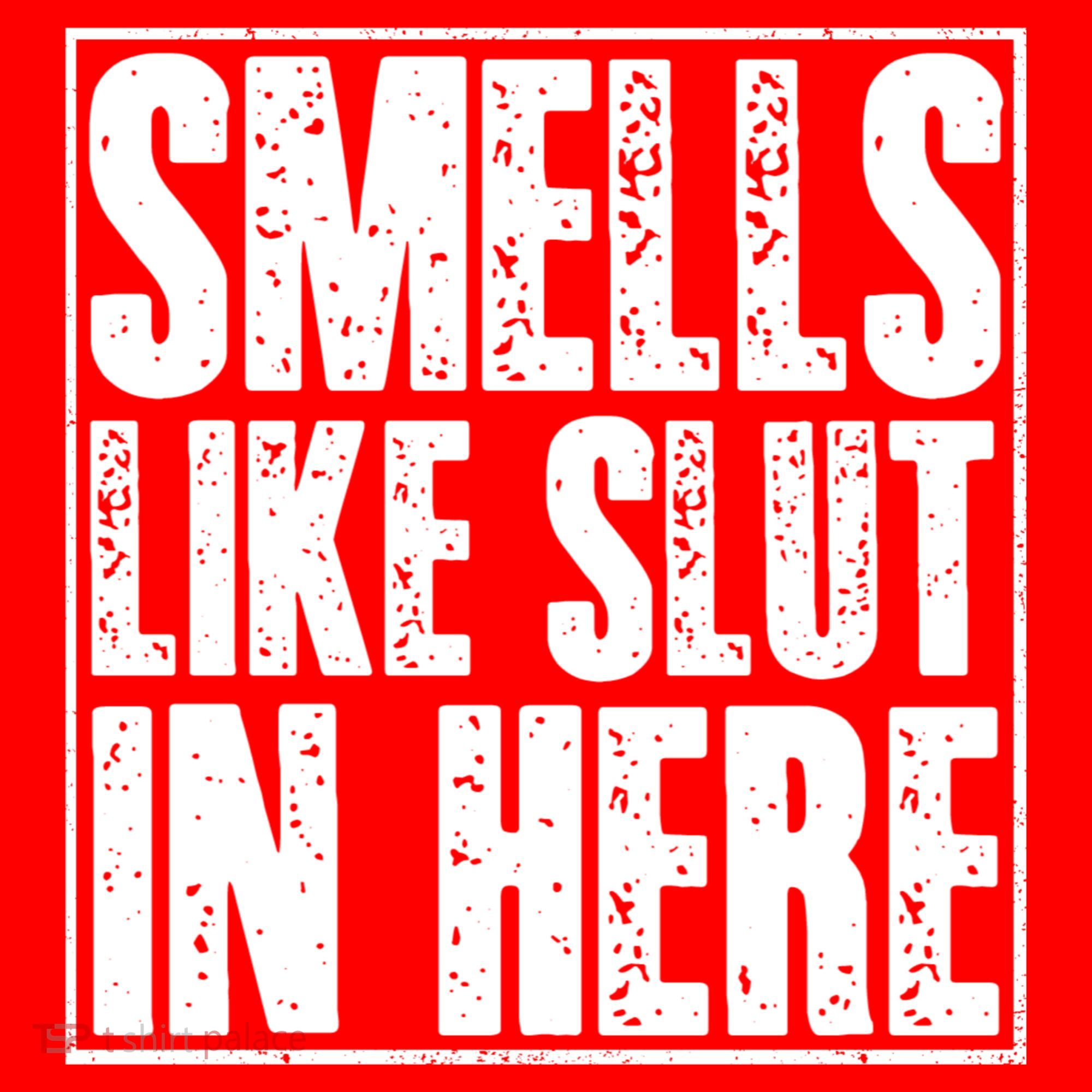 Offensive Funny Adult Humor, Smells Like Slut In Here Coaster