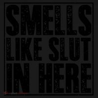Offensive Funny Adult Humor, Smells Like Slut In Here Coaster thumb 2