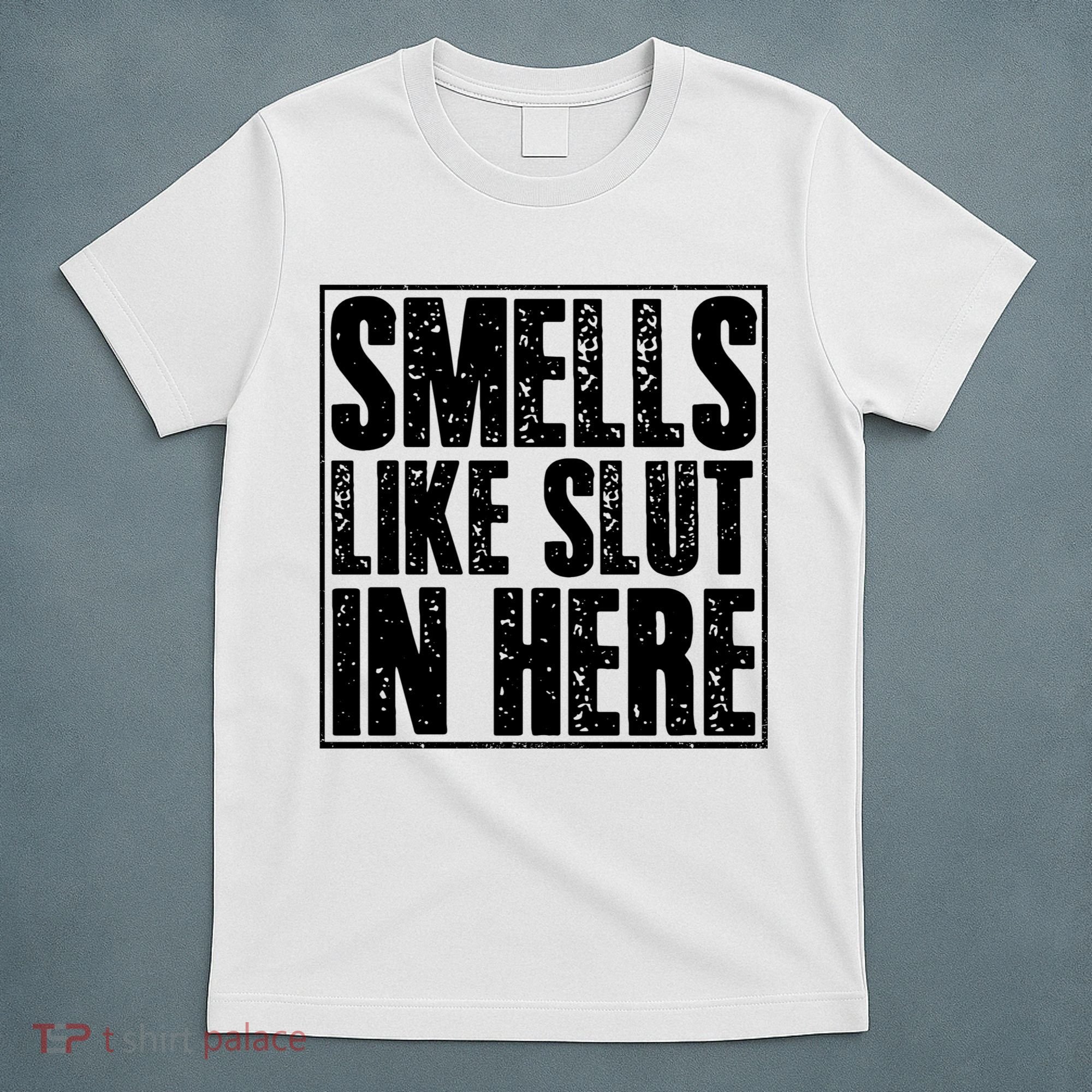 Offensive Funny Adult Humor, Smells Like Slut In Here T-Shirt
