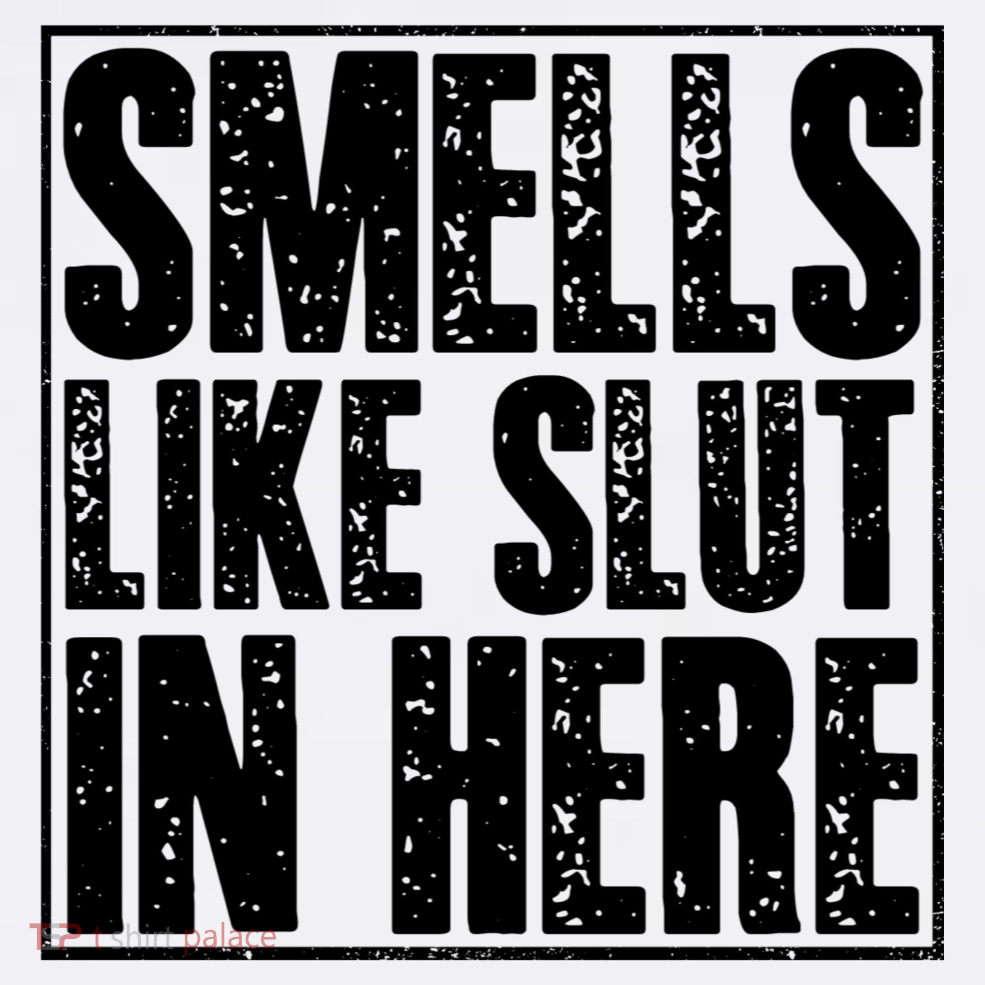 Offensive Funny Adult Humor, Smells Like Slut In Here T-Shirt
