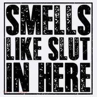 Offensive Funny Adult Humor, Smells Like Slut In Here Tank Top thumb 6