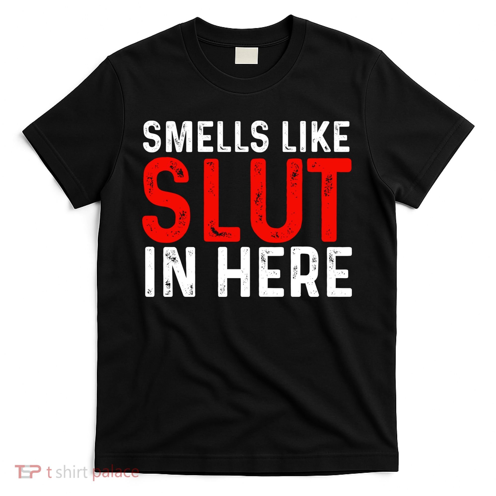 Offensive Funny Adult Humor, Smells Like Slut In Here T-Shirt