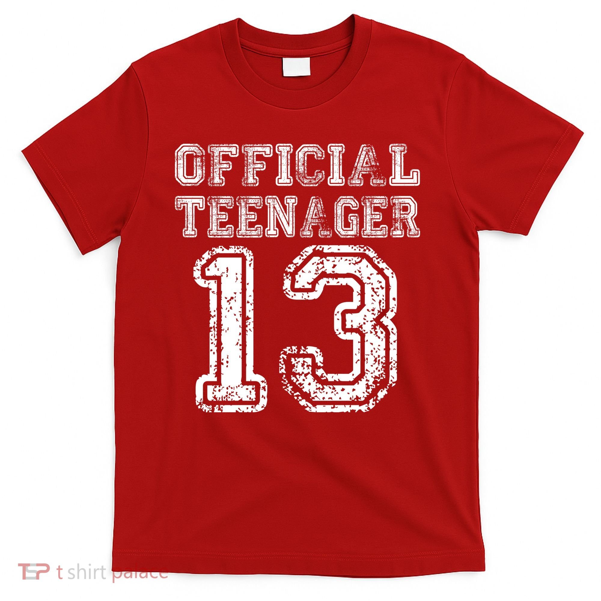 Official Teenager 13th Birthday T-Shirt