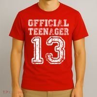 Official Teenager 13th Birthday T-Shirt thumb 3