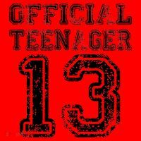 Official Teenager 13th Birthday Santa Hat thumb 1