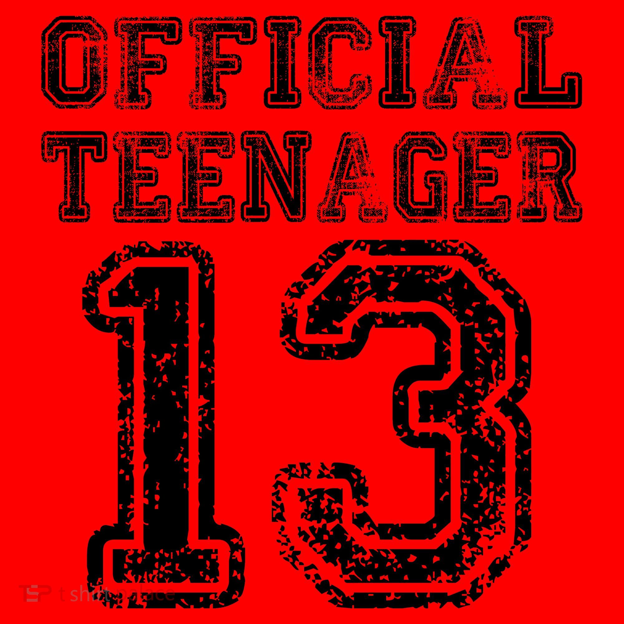 Official Teenager 13th Birthday Santa Hat