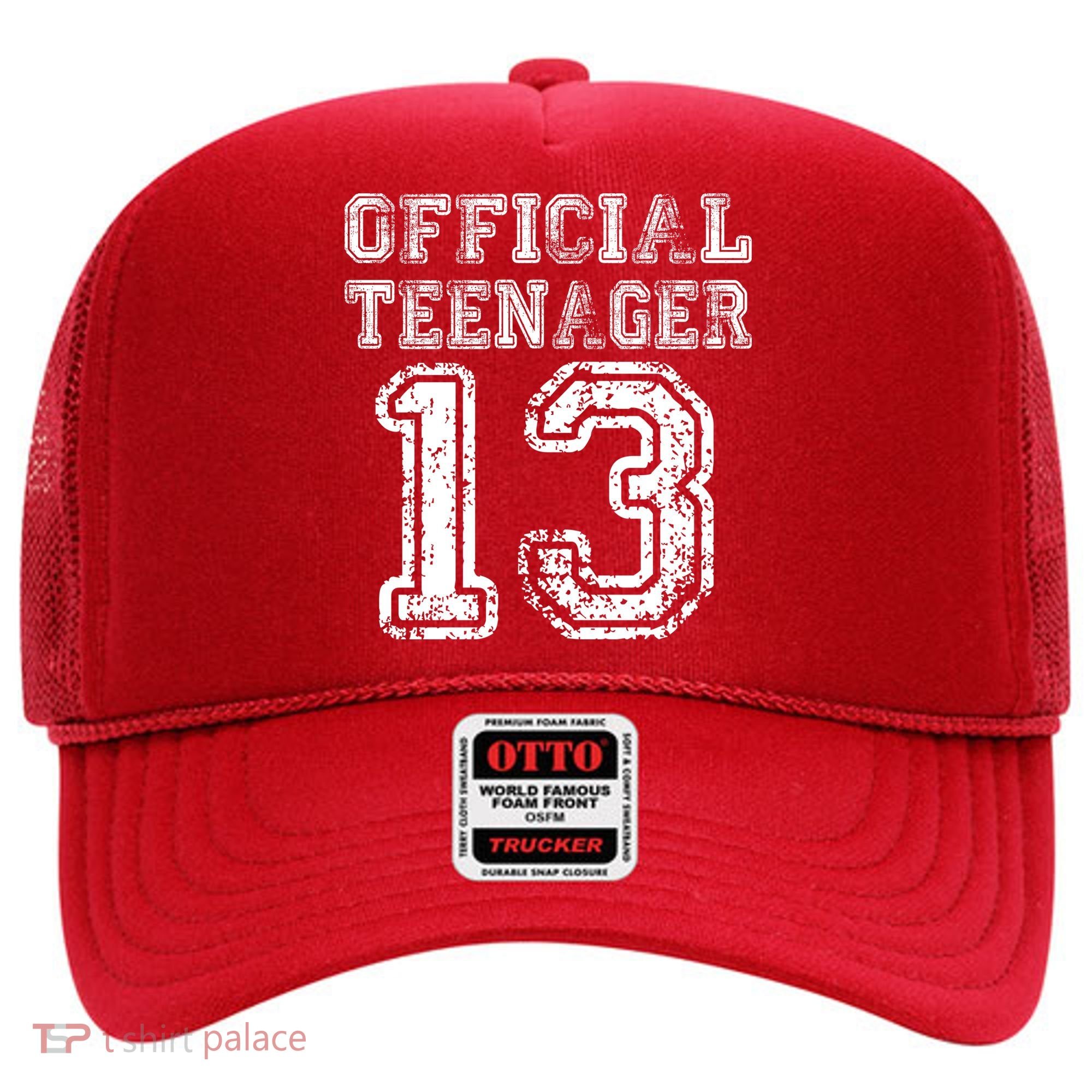 Official Teenager 13th Birthday Hat