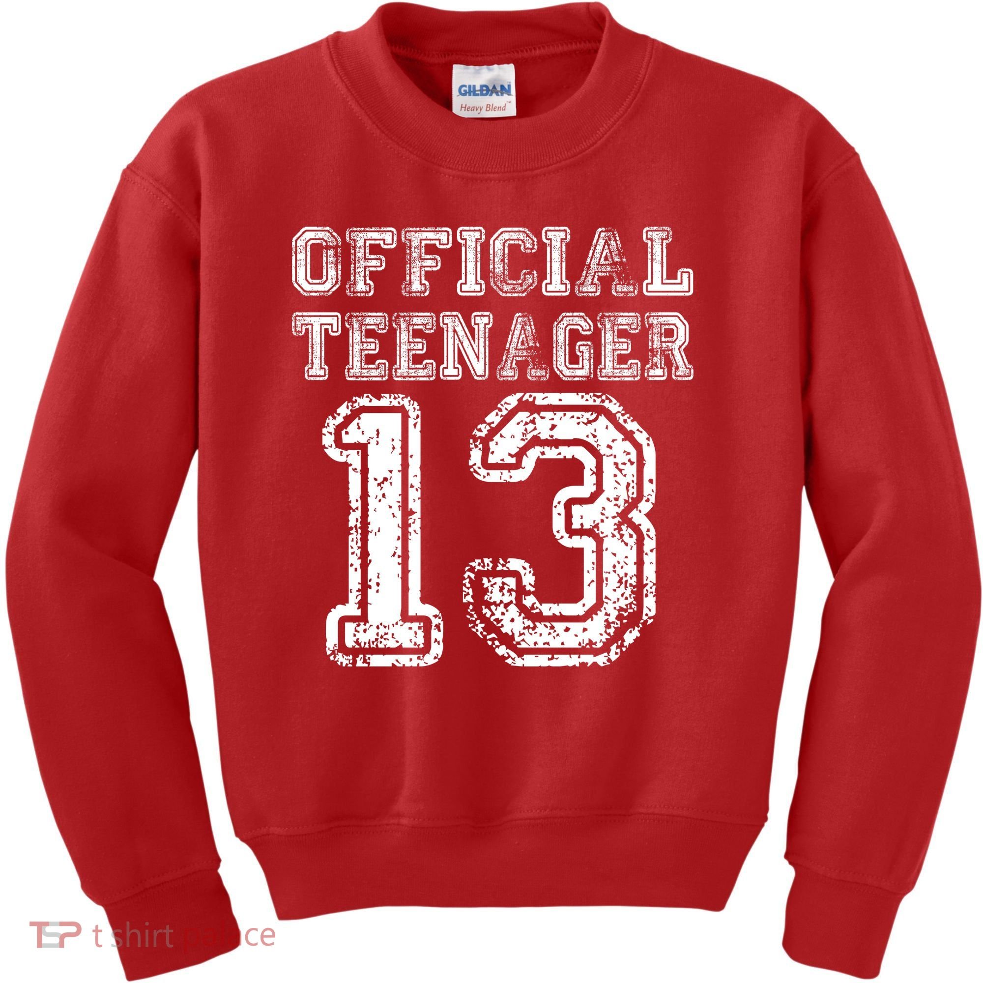 Official Teenager 13th Birthday Kids Sweatshirt