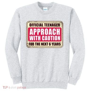 Official Teenager Approach With Caution Sweatshirt