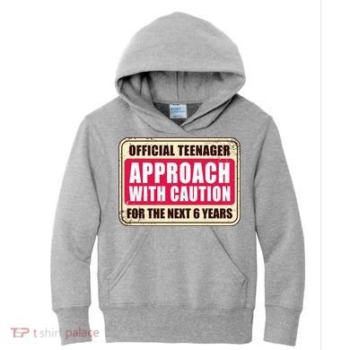 Official Teenager Approach With Caution Kids Hoodie