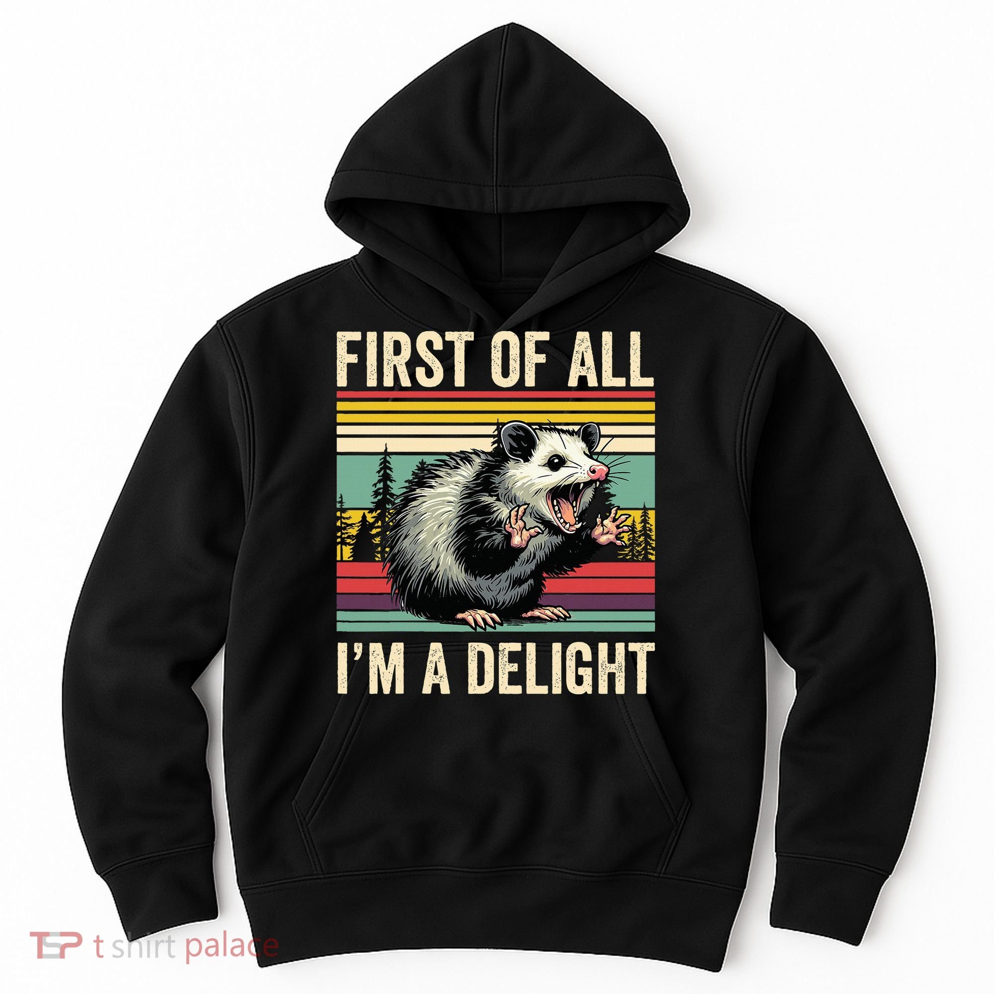 Opossum First Of All Im A Delight Possum Hoodie
