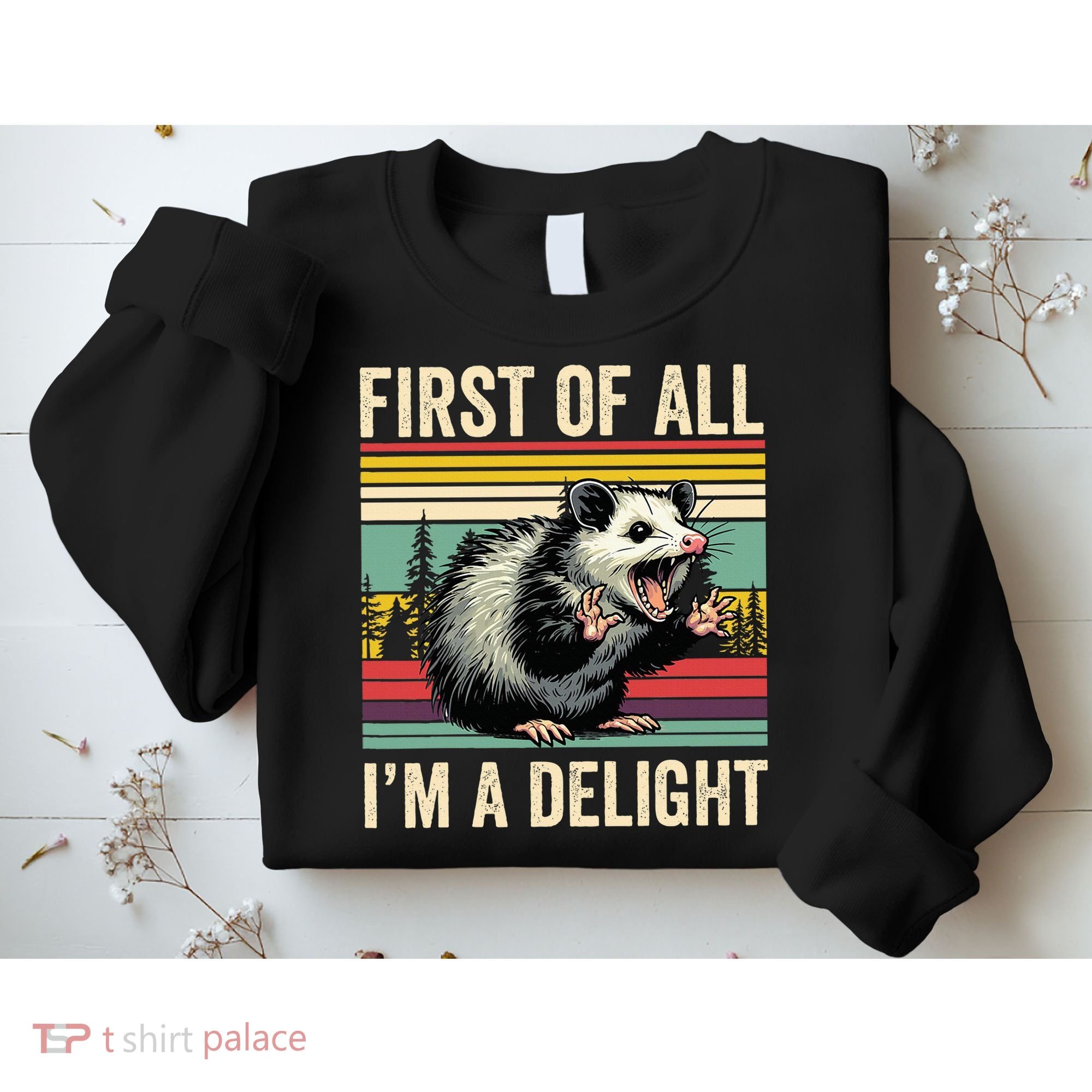 Opossum First Of All Im A Delight Possum Sweatshirt