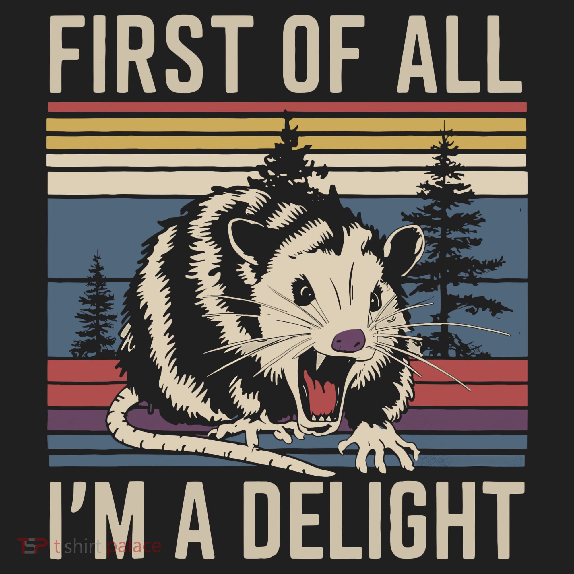 Opossum First Of All I Am A Delight Sarcastic Women's Sweatshirt