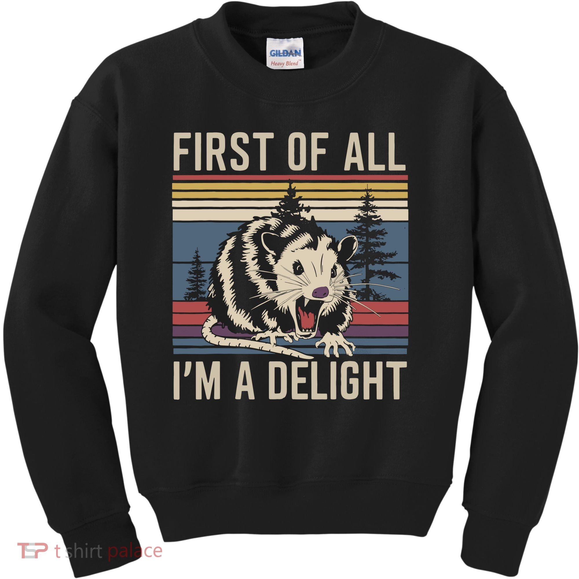 Opossum First Of All I Am A Delight Sarcastic Kids Sweatshirt