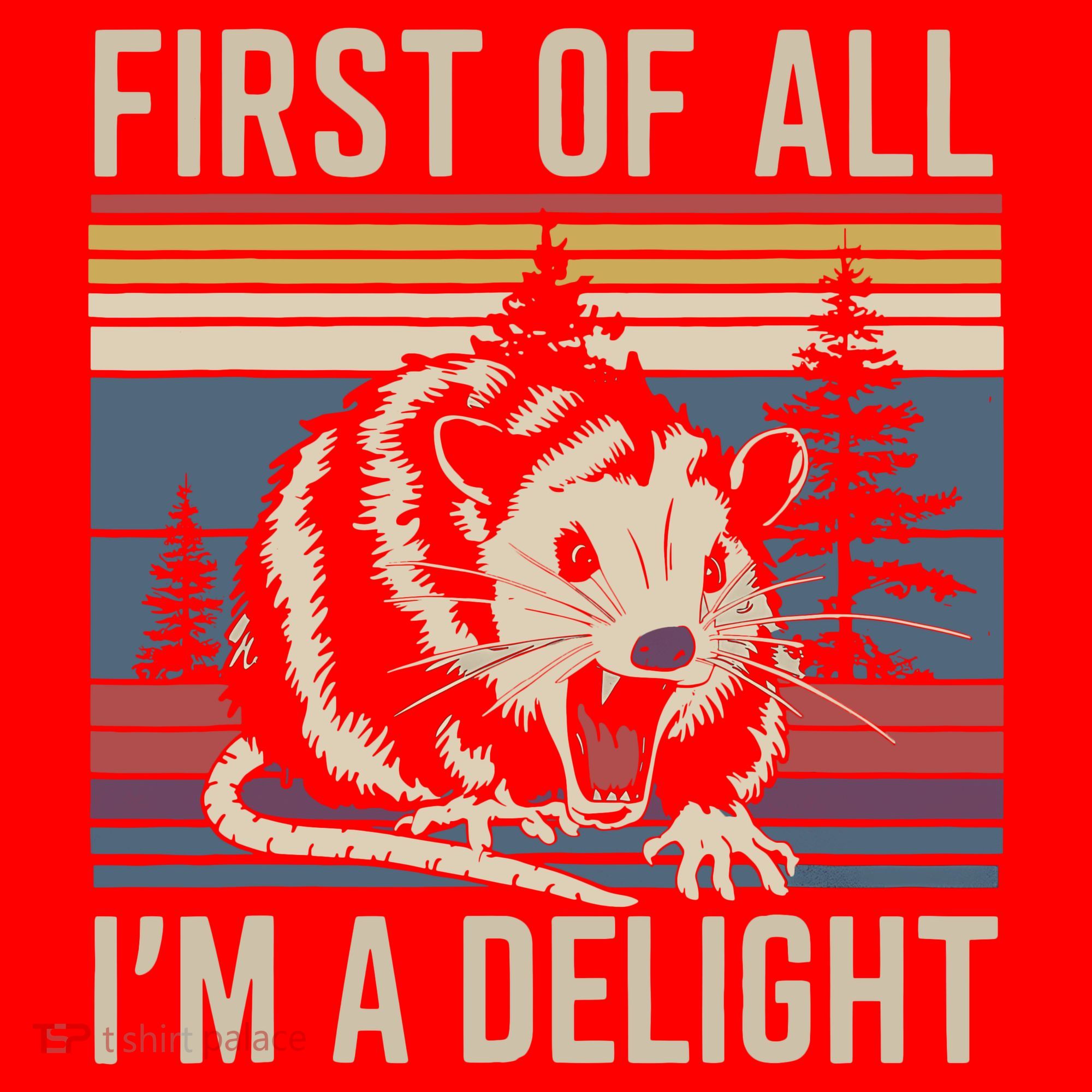 Opossum First Of All I Am A Delight Sarcastic Santa Hat