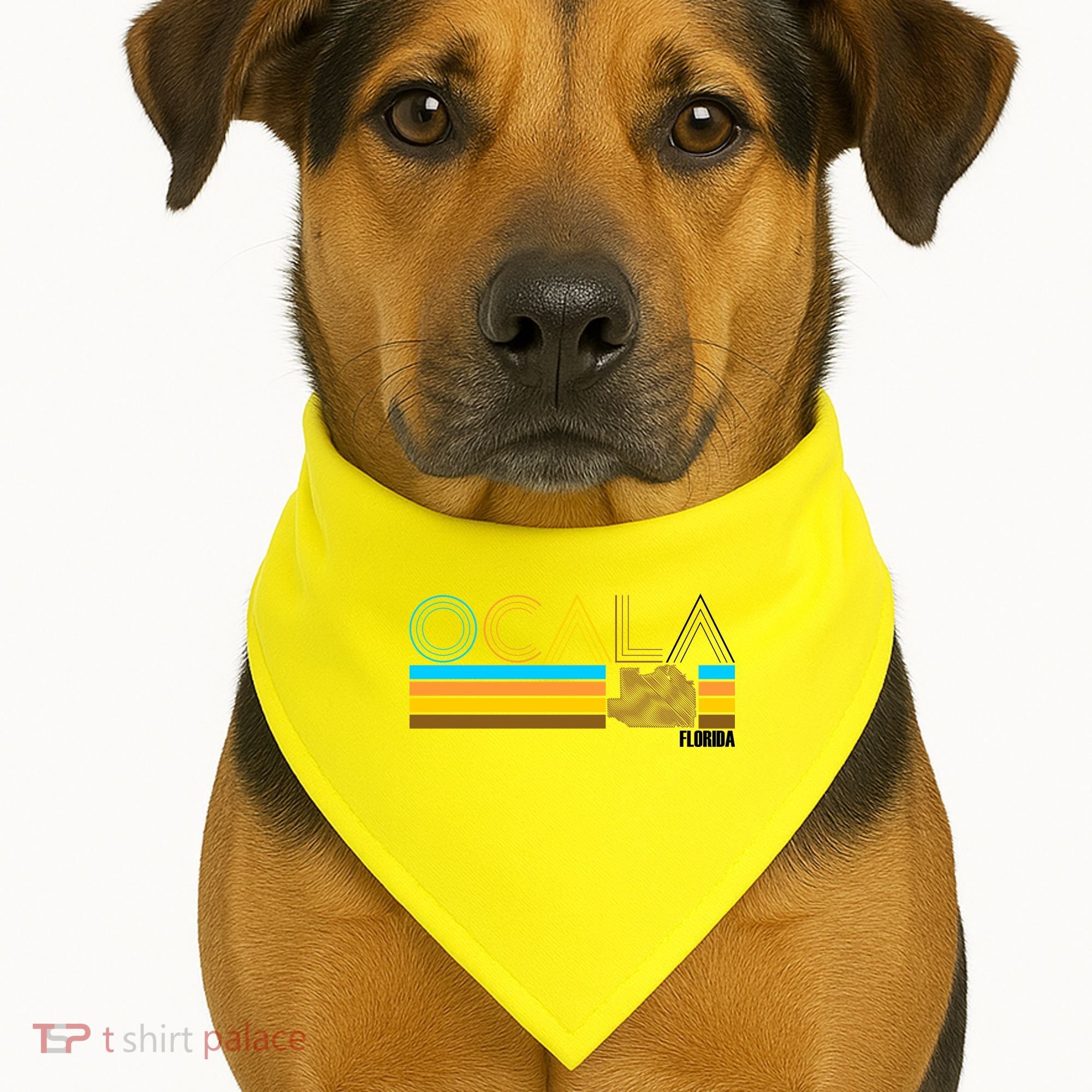 Ocala Florida Retro USA-Made Doggie Bandana
