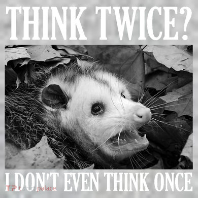 Opossum Funny Think Twice I Don't Even Think Once Possum The Baniff Cuffed Pom Beanie