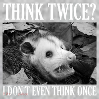 Opossum Funny Think Twice I Don't Even Think Once Possum The Baniff Cuffed Pom Beanie thumb 2
