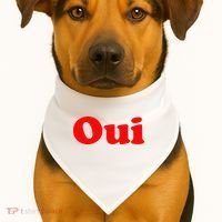 Oui French Yes Red Retro 90s USA-Made Doggie Bandana thumb 1