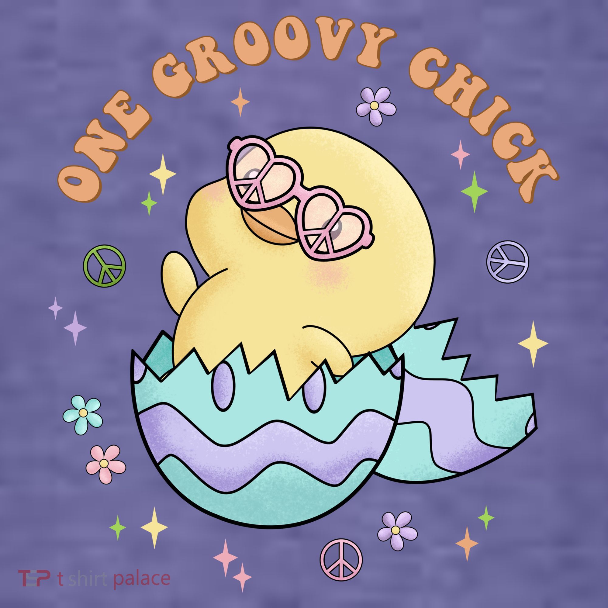One Groovy Chick Funny Cute Baby Chicken Women's Hoodie