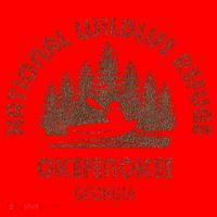 Okefenokee Georgia Wildlife Refuge Canoe Santa Hat thumb 1